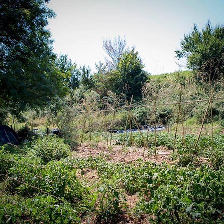 Tente en permaculture pirate Creysse  Exterior foto